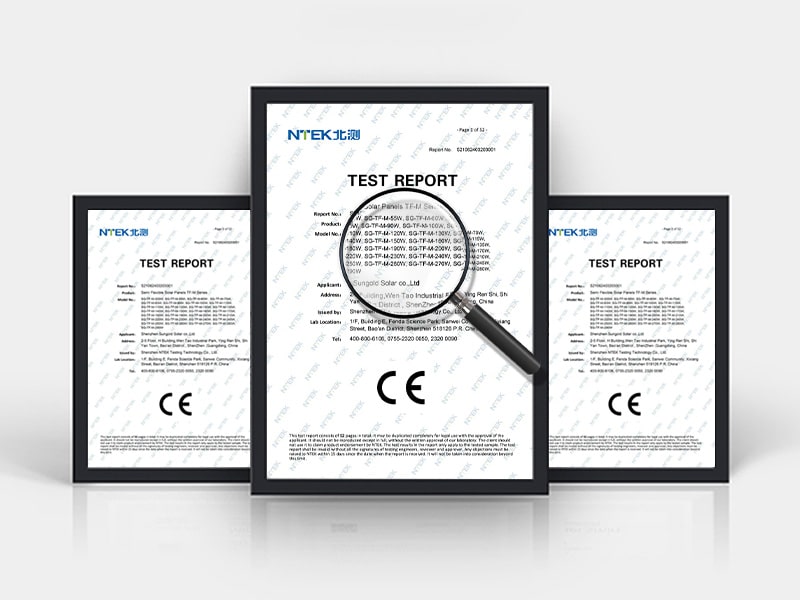 SGTFM-Cert-2.jpg